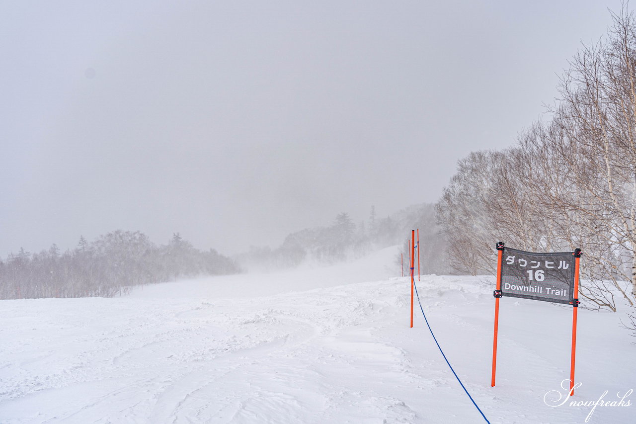 札幌国際スキー場　街は雨でも、山は雪！広々ゲレンデに思う存分シュプールを描こう(^^)/